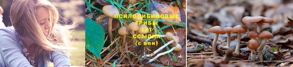 тгк Нефтегорск