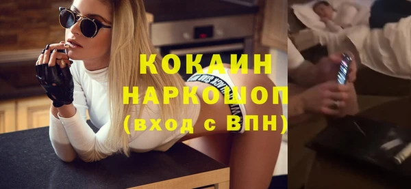 мдпв Новозыбков