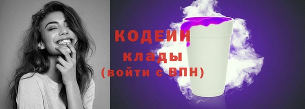 мдпв Новозыбков