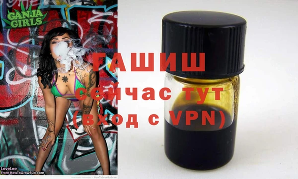 мдпв Новозыбков