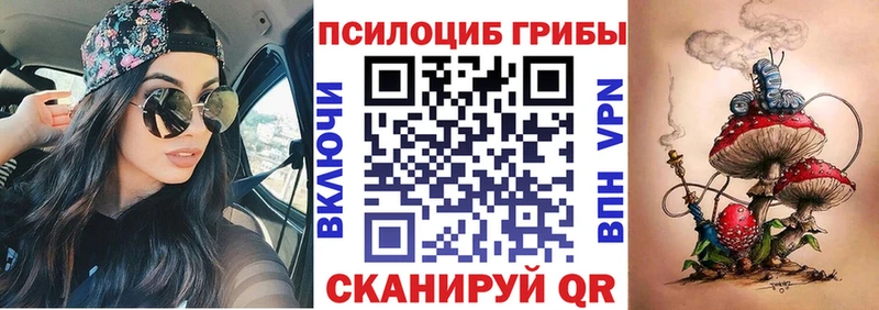 Псилоцибиновые грибы Magic Shrooms  где продают   Новокубанск 