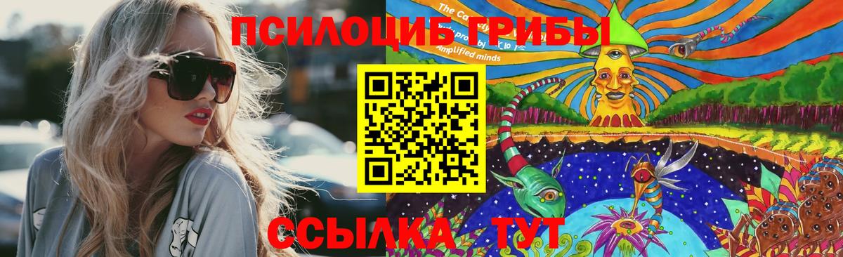 Псилоцибиновые грибы Psilocybine cubensis  Вход с VPN  Новокубанск 