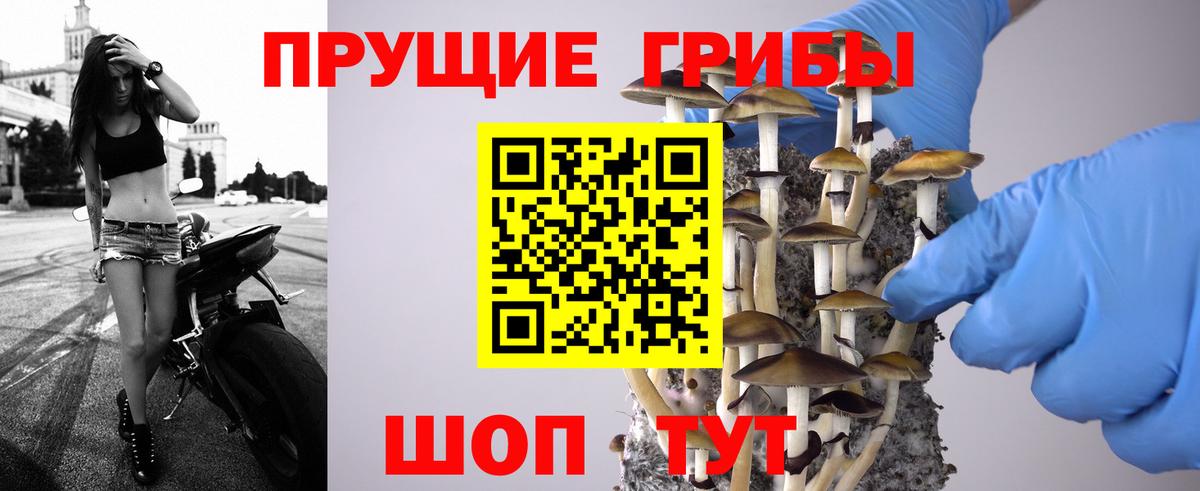 Псилоцибиновые грибы MAGIC MUSHROOMS Новокубанск
