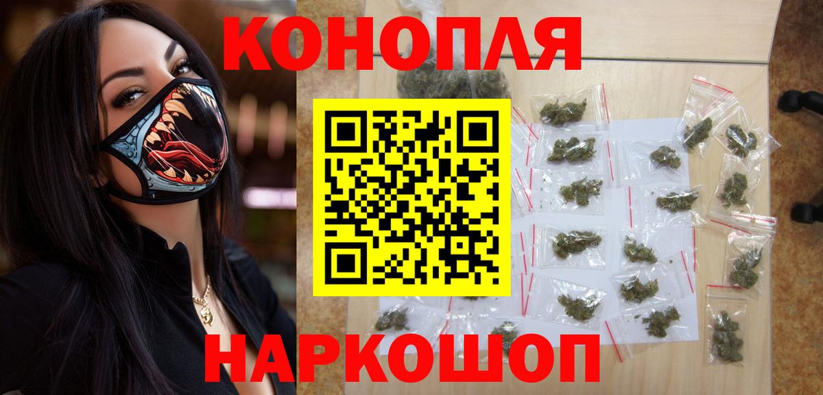 Бошки Шишки семена Новокубанск